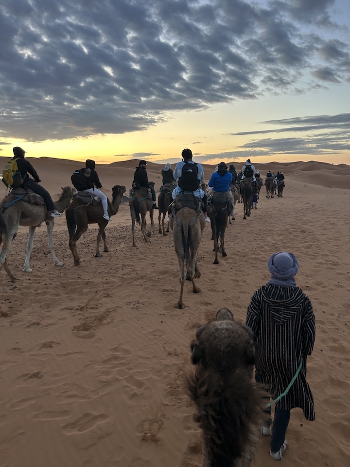 Students on a Trip to Morocco for IE 