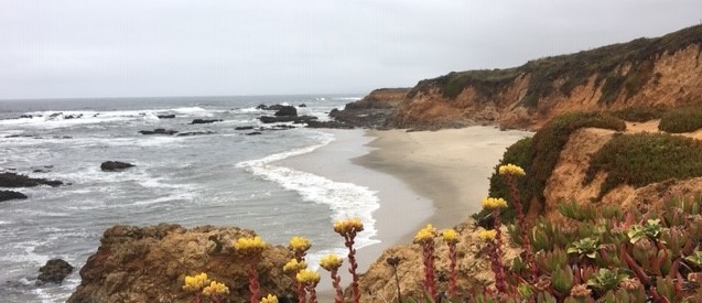 Pescadero Beach Scene